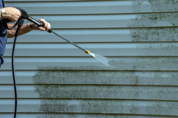 Best Fence Cleaning  in Dolgeville, NY